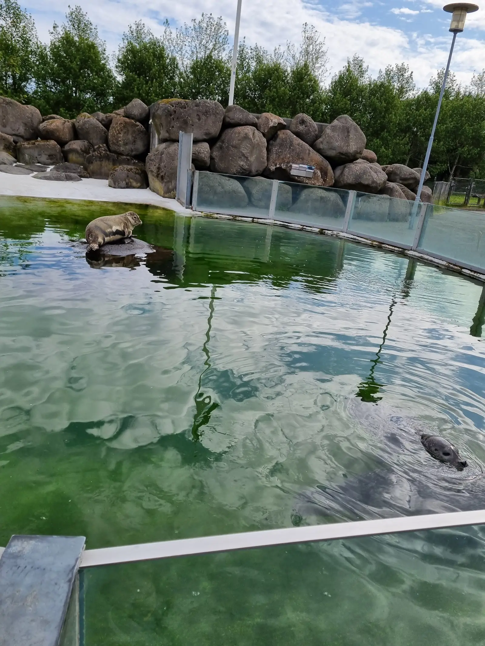 Reykjavik Park and Zoo i Laugardalur