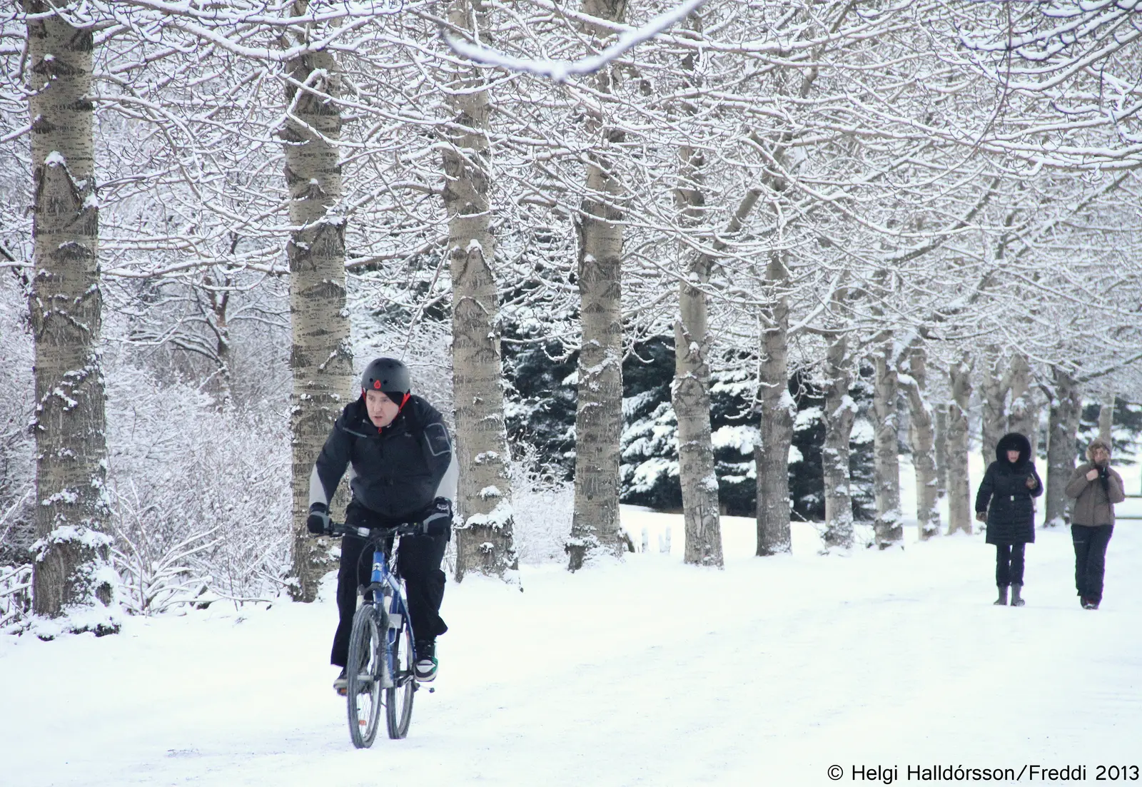 Snötäckt Reykjavik en vinterdag