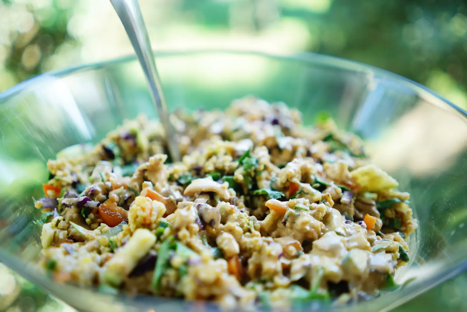 Vegansk måltid med sallad och pasta